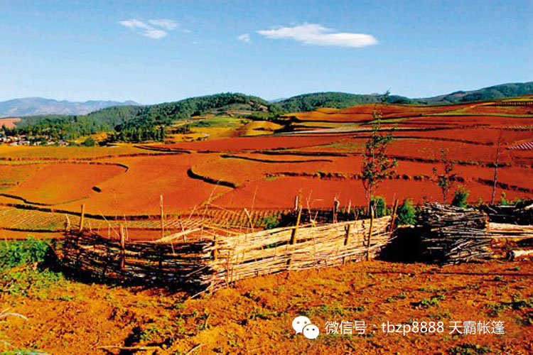 六月美麗的土地，對的時間去對的地方