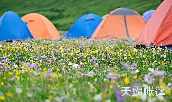 適合每個階段孩子年齡的戶外運動形式