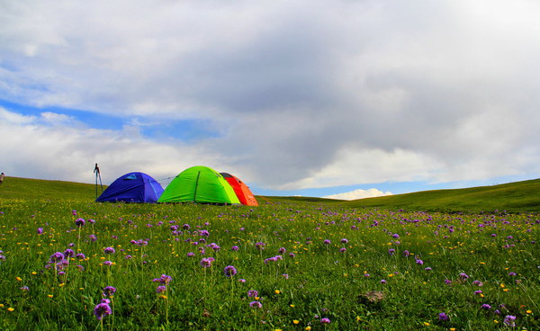 2020年湖南文化旅游產(chǎn)業(yè)博覽會閉幕 現(xiàn)場成交近4000萬元——轉(zhuǎn)載